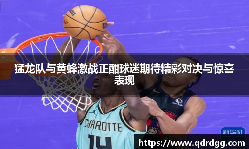 乐彩汇官方网站