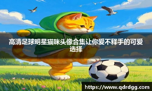 乐彩汇官方网站